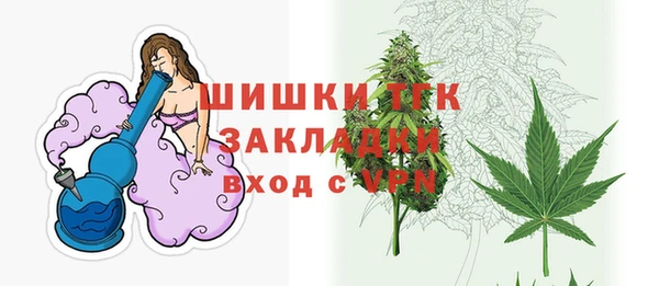 МДПВ Богородицк