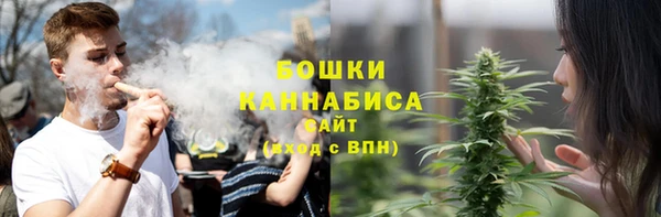ГАЛЛЮЦИНОГЕННЫЕ ГРИБЫ Богданович