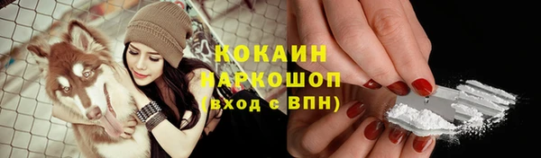 ГАЛЛЮЦИНОГЕННЫЕ ГРИБЫ Богданович