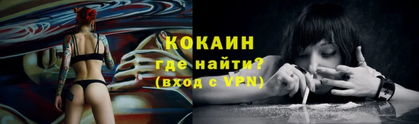 МДПВ Богородицк
