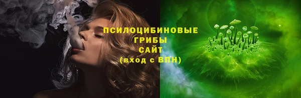 ГАЛЛЮЦИНОГЕННЫЕ ГРИБЫ Богданович