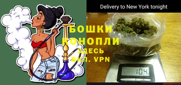 МДПВ Богородицк