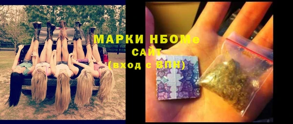 ГАЛЛЮЦИНОГЕННЫЕ ГРИБЫ Богданович
