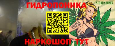 прущие крисы Гатчина