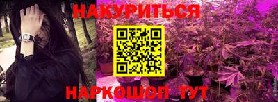 прущие крисы Гатчина
