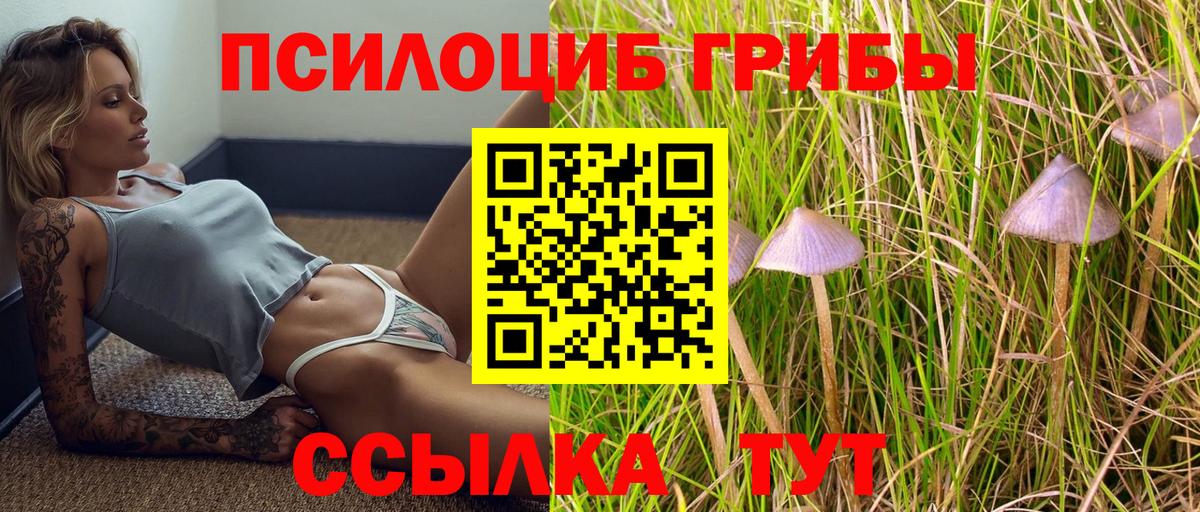 Псилоцибиновые грибы мицелий Острогожск