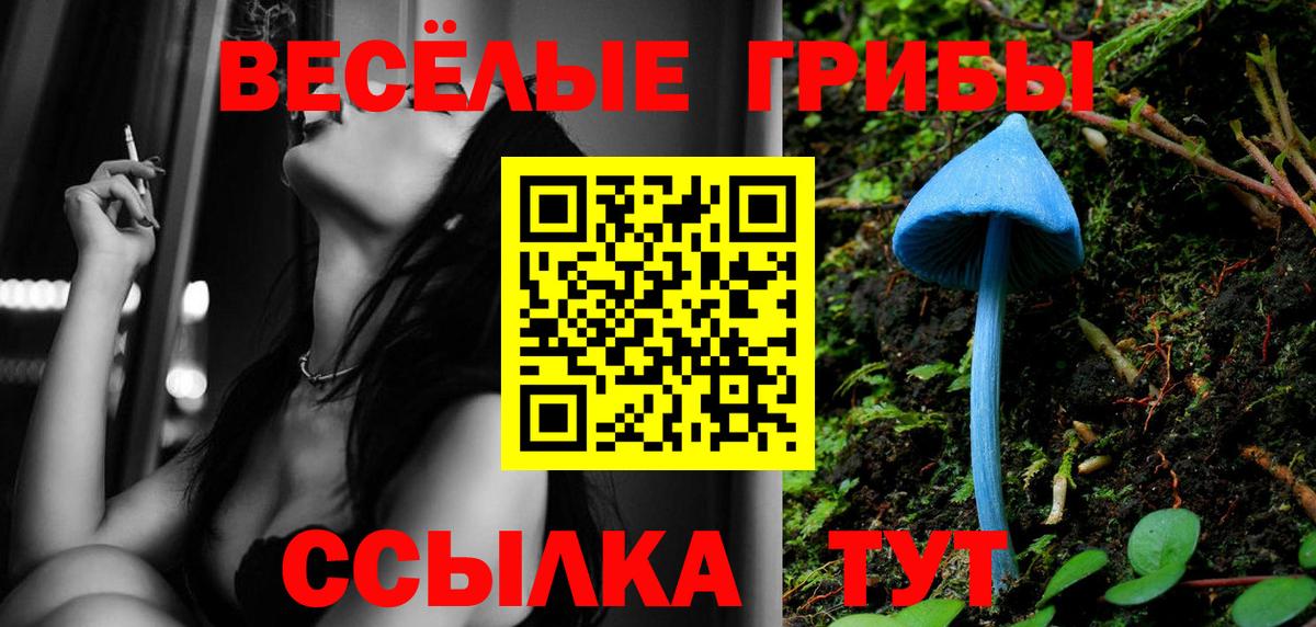 Острогожск  Галлюциногенные грибы Magic Shrooms  Вход с VPN 